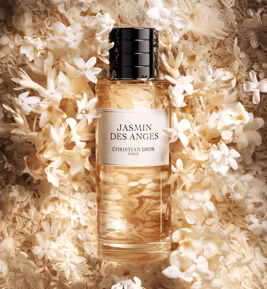 Jasmin des Anges